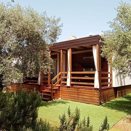 Mobile Homes Olive And Sea Bibinje Exteriér fotografie