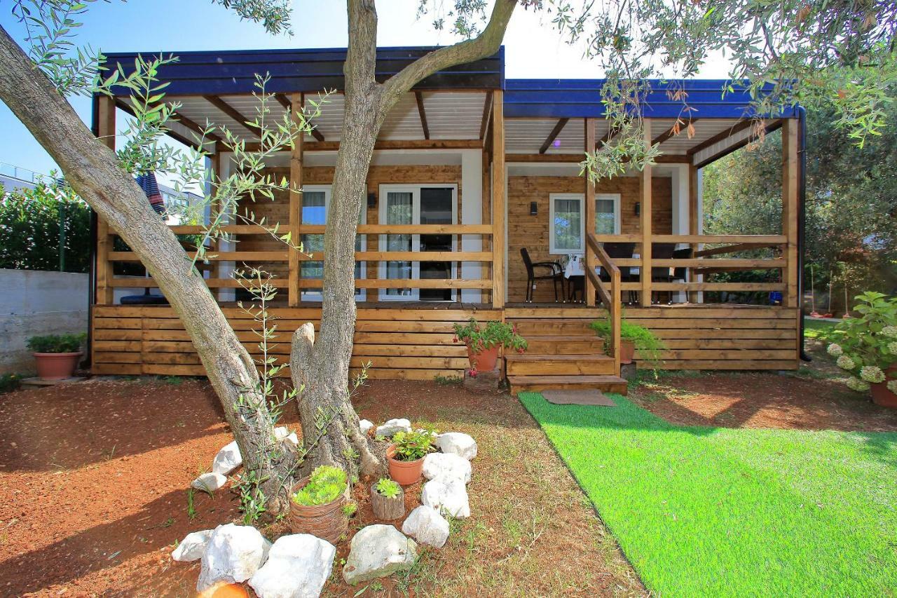Mobile Homes Olive And Sea Bibinje Exteriér fotografie